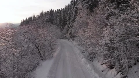 Winter in the mountains. Forest in the snow. Shooting from a quadcopter. Stock Footage 167746004