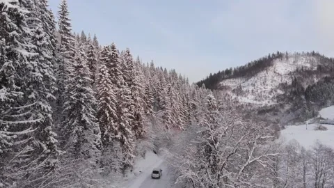 Winter in the mountains. Forest in the snow. Shooting from a quadcopter. Stock Footage 168058002
