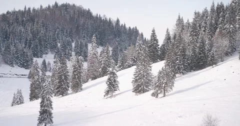 Winter Mountains Full of Snow Vídeo Stock 146463458