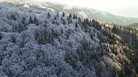 Winter mountains landscape during sunset. Top view of the fabulous winter Stock Footage 147623497