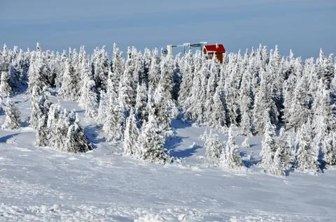 Winter in the mountains Stock Photos