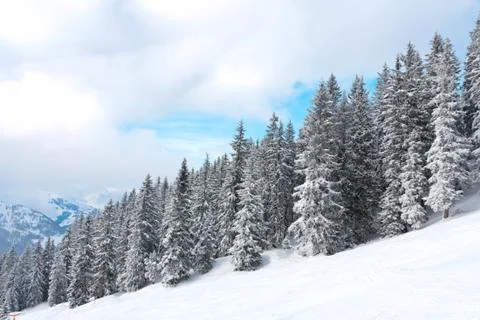 Winter in mountains 스톡 사진