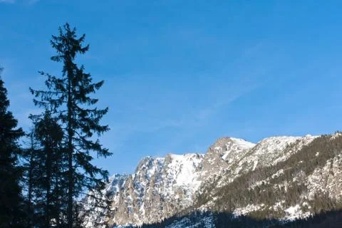 Winter in mountains Stock Photos