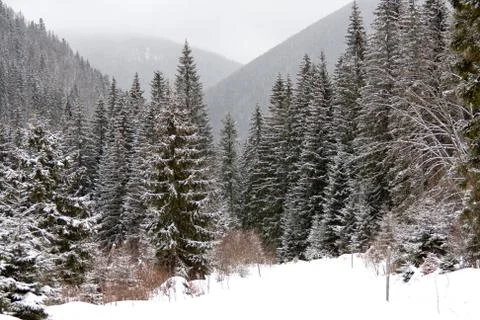 Winter in mountains Stock Photos