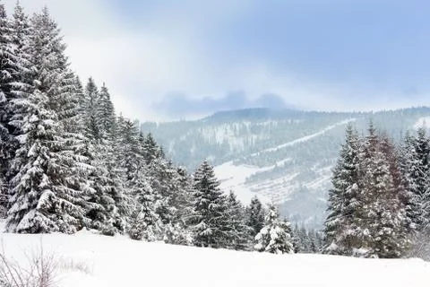 Winter in mountains Stock Photos