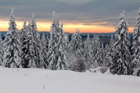 Winter in the mountains Stock Photos