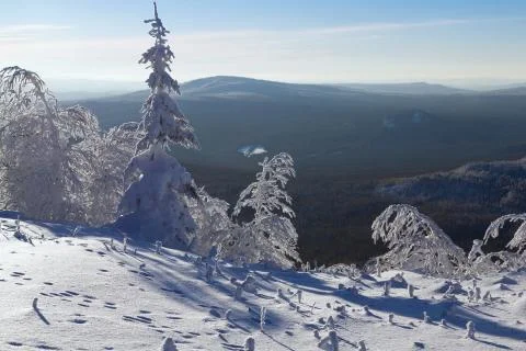 Winter in the mountains Stock Photos