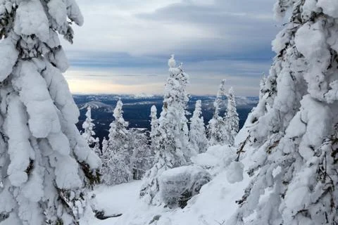 Winter in the mountains Stock Photos