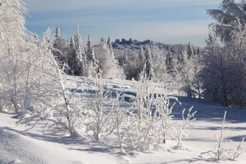 Winter in the mountains Stock Photos