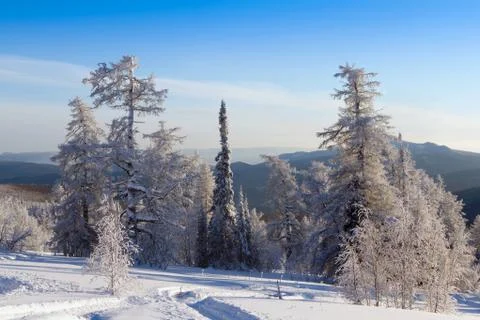 Winter in the mountains Stock Photos