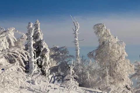 Winter in the mountains Stock Photos