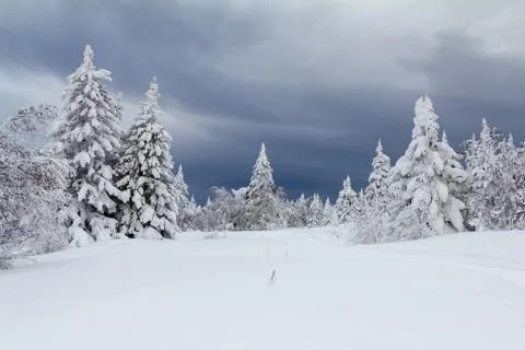 Winter in the mountains Stock Photos
