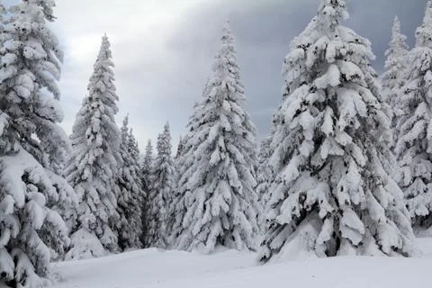 Winter in the mountains Stock Photos
