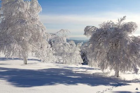 Winter in the mountains Stock Photos