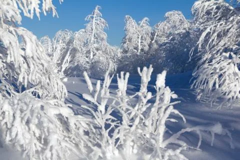 Winter in the mountains Stock Photos
