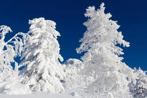 Winter in the mountains Stock Photos