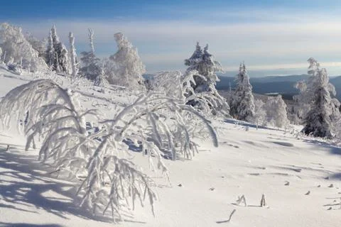 Winter in the mountains Stock Photos
