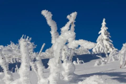 Winter in the mountains Stock Photos