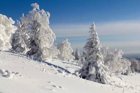 Winter in the mountains Stock Photos