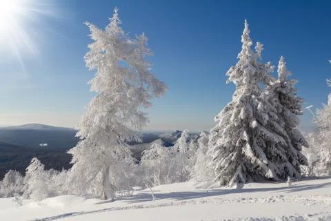 Winter in the mountains Stock Photos