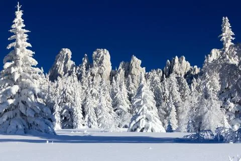 Winter in the mountains Stock Photos