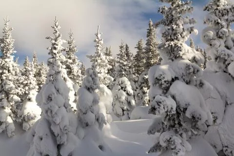 Winter in the mountains Stock Photos