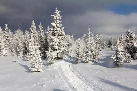 Winter in the mountains Stock Photos
