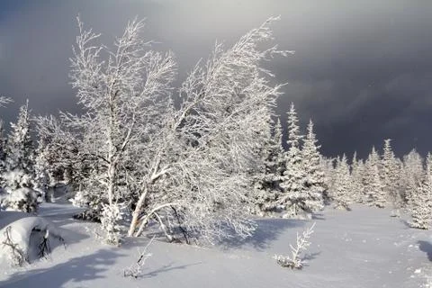 Winter in the mountains Stock Photos