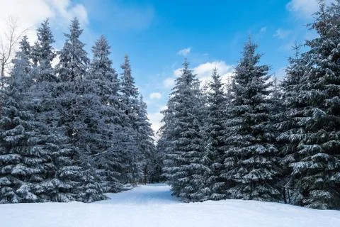 Winter in the mountains Stock Photos
