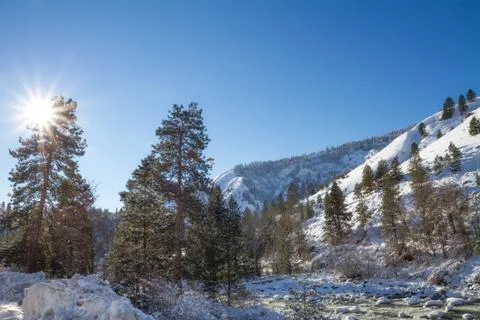 Winter in the mountains Stock Photos