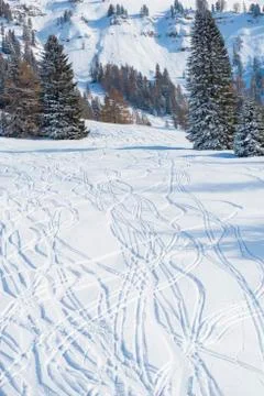 Winter in the Mountains Stock Photos