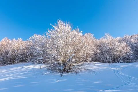 Winter in the mountains 库存照片