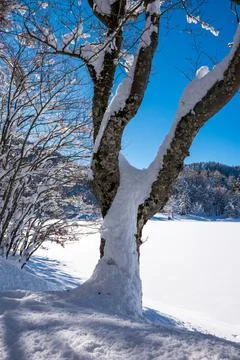 Winter in the mountains Stock Photos