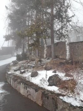 Winter in the mountains. Stock Photos