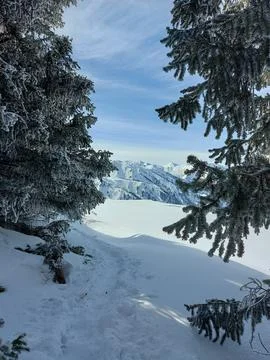 Winter in the mountains Stock Photos