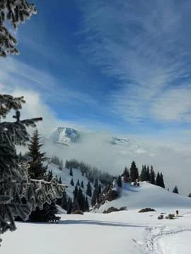 Winter in the mountains Stock Photos