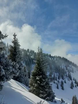 Winter mountains Stock Photos