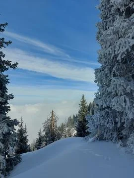 Winter in the mountains Stock Photos