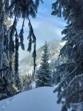 Winter in the mountains Stock Photos