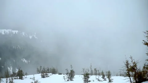 Winter mountains. Poor visibility. The wind is blowing light snow. Beautiful Stock Footage 237446166