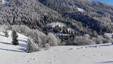 Winter in the mountains. Winter forest from a bird's eye view. Snow-covered Stock Footage 100408540
