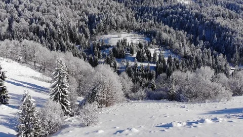 Winter in the mountains. Winter forest from a bird's eye view. Snow-covered Video stock 100408599