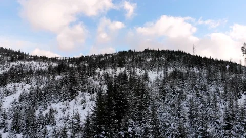 Winter in the mountains. Winter forest from a bird's eye view. Snow-covered Stock Footage 101871110