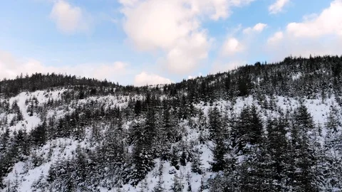 Winter in the mountains. Winter forest from a bird's eye view. Snow-covered Stock Footage 101871254