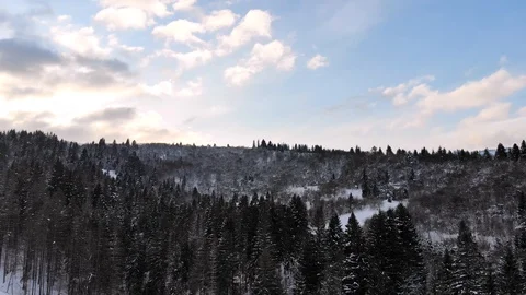 Winter in the mountains. Winter forest from a bird's eye view. Snow-covered Stock Footage 101871536