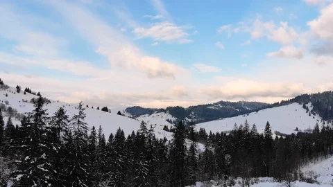 Winter in the mountains. Winter forest from a bird's eye view. Snow-covered Stock Footage 101871538