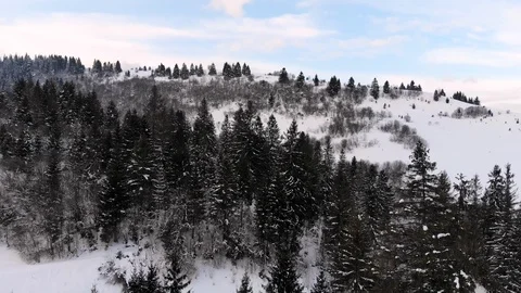 Winter in the mountains. Winter forest from a bird's eye view. Snow-covered Stock Footage 101871728