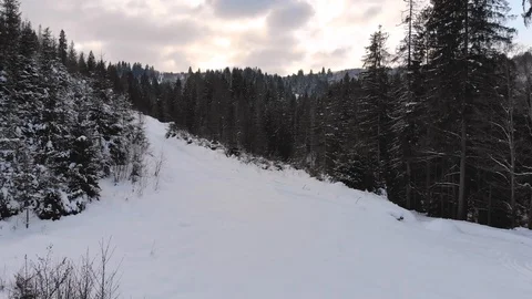 Winter in the mountains. Winter forest from a bird's eye view. Snow-covered Stock Footage 101872480