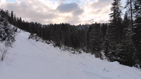 Winter in the mountains. Winter forest from a bird's eye view. Snow-covered Stock Footage 101873056