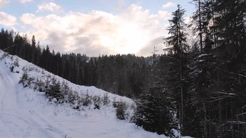 Winter in the mountains. Winter forest from a bird's eye view. Snow-covered Stock Footage 101873780